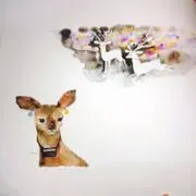 .迅速対応✳️ねこまる.の画像