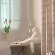 haniの画像