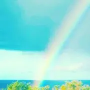 バニラムースの画像
