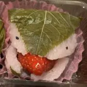 ゆきの画像