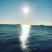 repo0406の画像