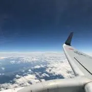sunny♪ 1-2日で発送・即購入OKの画像