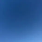 ⑤