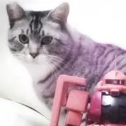 kaka