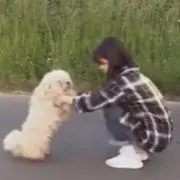 うさぎの画像