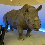 エイトの画像