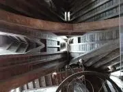 ゆの画像