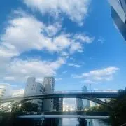 ソルトの画像