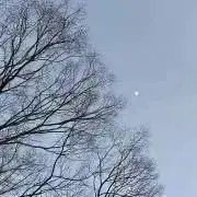 Takinoの画像