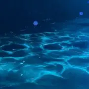 りんご