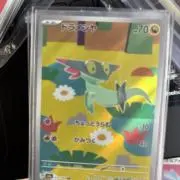 みやの画像