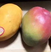 MANGOの画像