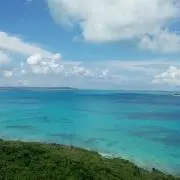nac-nacの画像