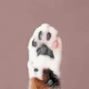 えじちゃん
