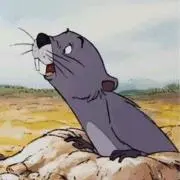 モニカ＊値下げ交渉OK‼︎の画像