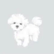 mの画像