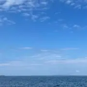 chai