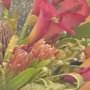 ♡あい♡の画像