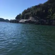monsterの画像