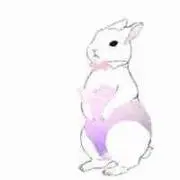 Kado