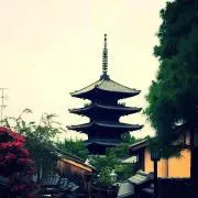 さかな先輩