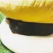 ゆうの画像