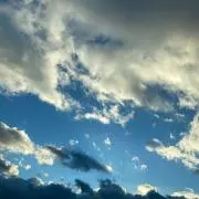 ぼうの画像