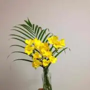 Pooh6/9〜13出張中の画像