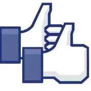 FY