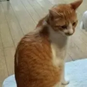 mun❌単品値下げしません❌の画像