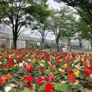 どんぐり⭐︎プロフ必読お願いします♪の画像