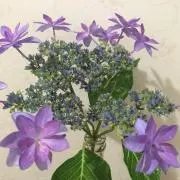 あーい☆★