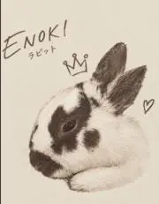 たたみんの画像