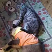R.の画像
