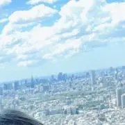 ミドリンPの画像