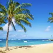 AlaMoanaの画像