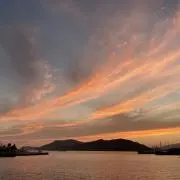 aoの画像