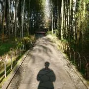 UCHI-ASAの画像