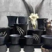 手作り 植木鉢 2点セット検索（塊根植物パキポディウム