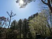 Clearの画像