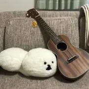 マンボととらやの画像