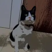 ロサ