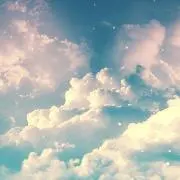 Rの画像