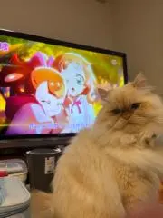 みくるの画像