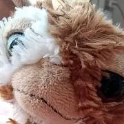 もっピの画像