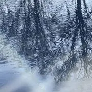 3.の画像