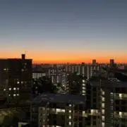 kakiの画像