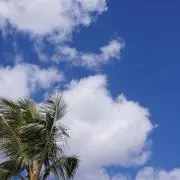 kuwa