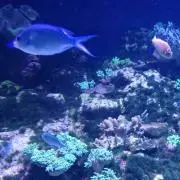 yn絶賛断捨離中！の画像