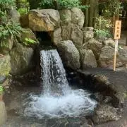 あおざくら